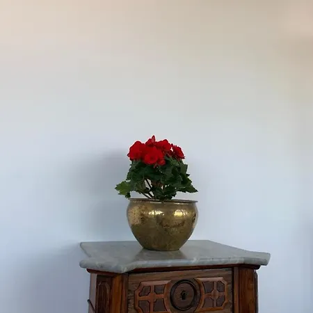 فندق مبيت وإفطار La Casa Del Sole 3*