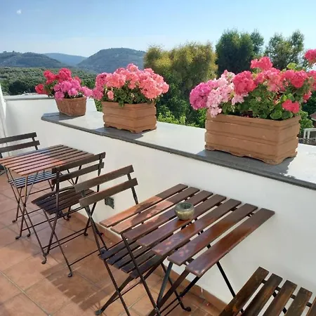 La Casa Del Sole Bed & Breakfast Vico Equense