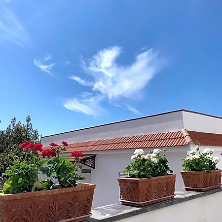 La Casa Del Sole Bed and breakfast Vico Equense