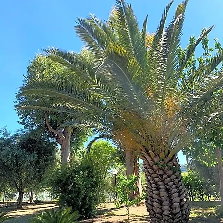 Bed & Breakfast La Casa Del Sole 3*